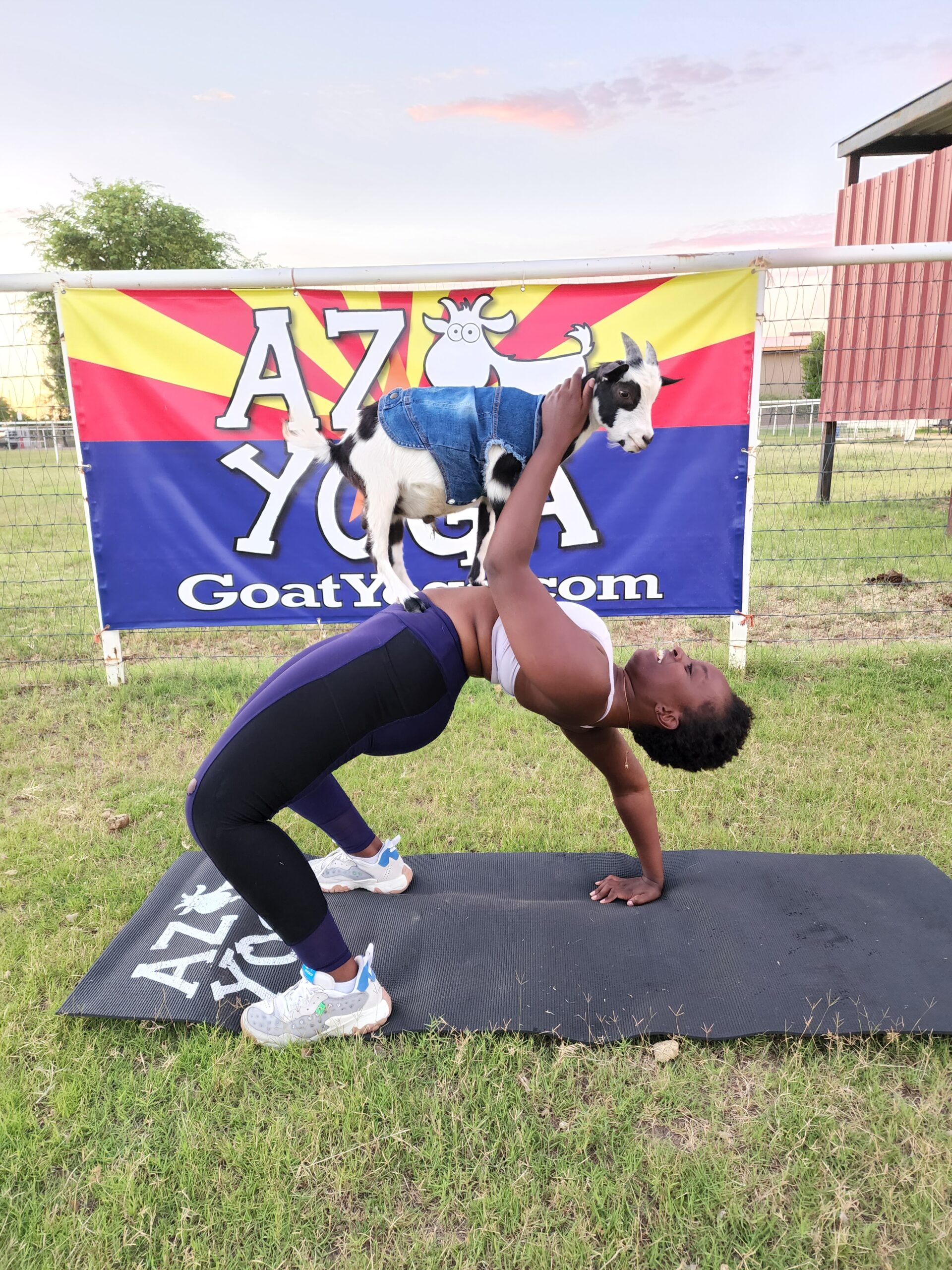 Beautiful African American black girl doing a backbend wheel yoga pose with a goat in front of an AZ Arizona Goat Yoga banner in sunny Gilbert Arizona