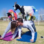 boy and girl kissing while on hands and knees at Arizona Goat yoga class with two goats on each of their back
