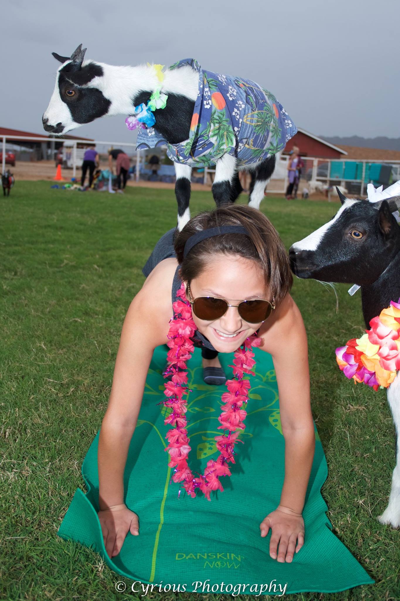 Girl with Hawaiian Lei and goat on her back