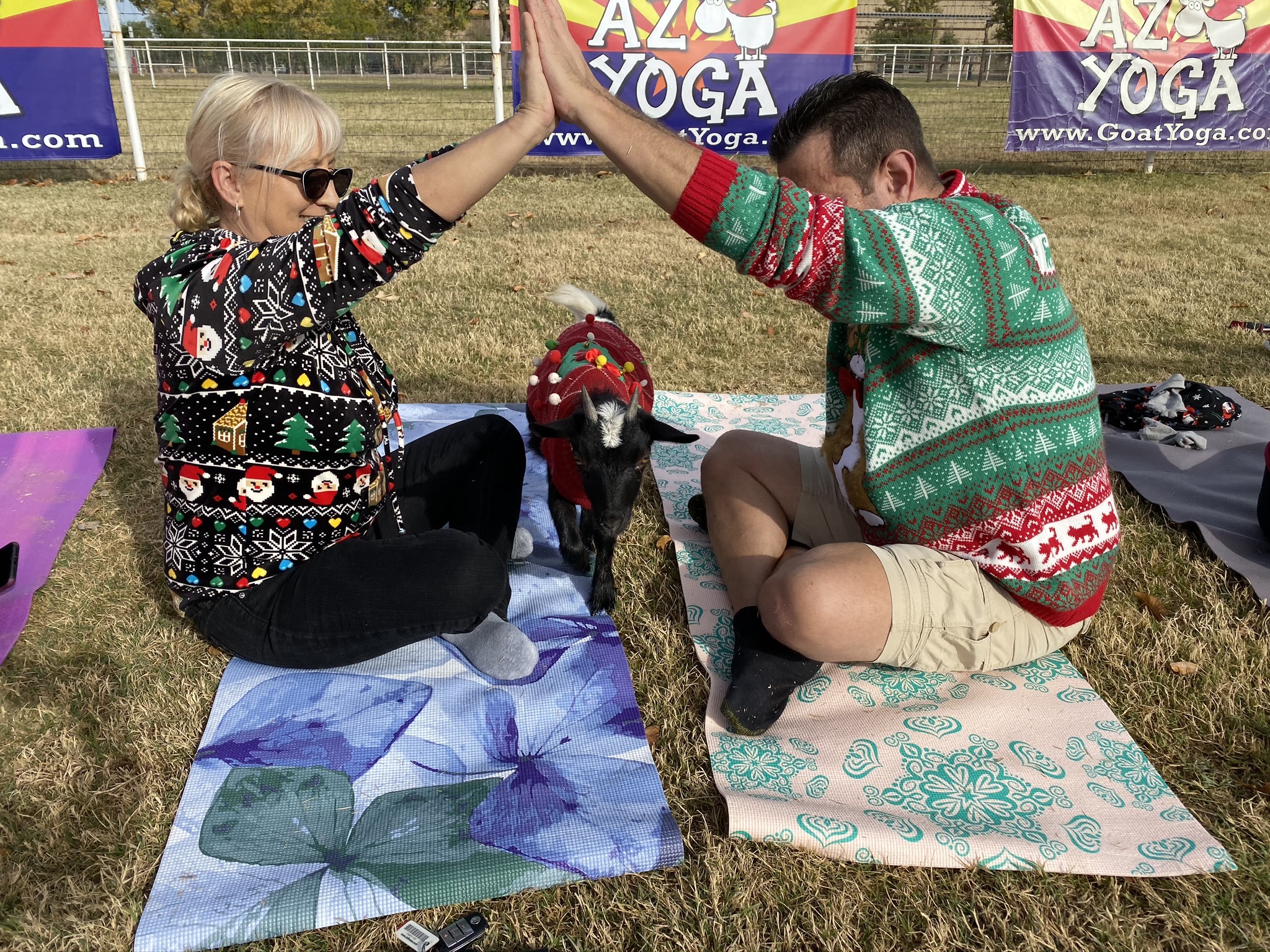Ugly Christmas sweaters yoga pose with goat