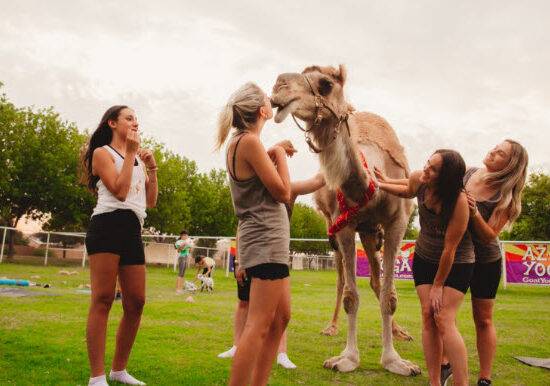 4 cute girls kissing a camel during an original baby goat yoga class in Gilbert Arizona, that started in 2015 by friends April Gould and Sarah Williams from the amazing race as well as American ninja warrior competitors.