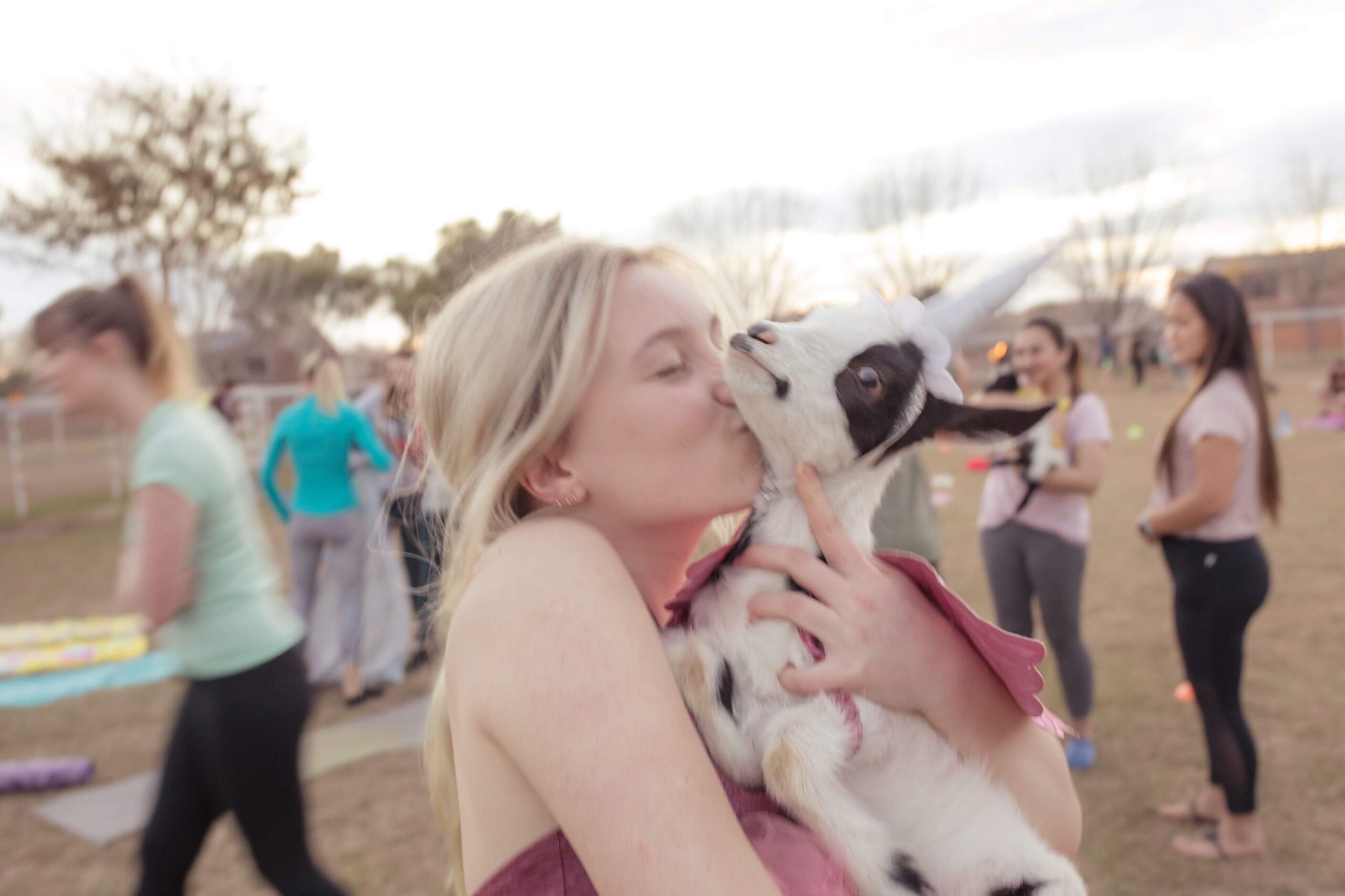 Cute blonde girl in a tank top holding a baby goat tight while kissing him with people around during a goat yoga class in gilbert Arizona