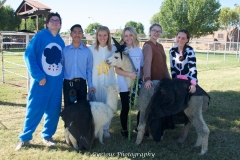 helpers for goat yoga dressed in costume in hot Arizona
