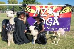 april and sarah witches for Arizona halloween goat yoga