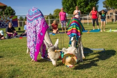 IMG_0040