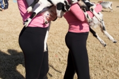 DSC_4931