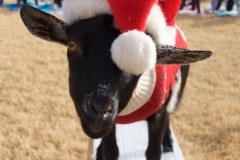 DSC_6440