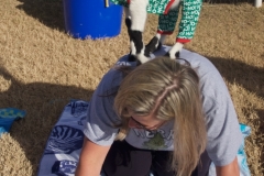 DSC_8194