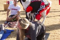 Holiday AZ Goat Yoga Kristen Carter Photography 02-2