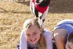 Holiday AZ Goat Yoga Kristen Carter Photography 05-5