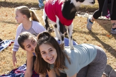 Holiday AZ Goat Yoga Kristen Carter Photography 08-8