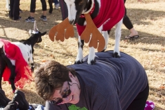 Holiday AZ Goat Yoga Kristen Carter Photography 13-13