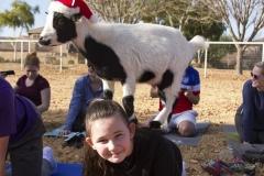 Holiday AZ Goat Yoga Kristen Carter Photography 16-16