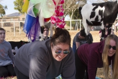 Holiday AZ Goat Yoga Kristen Carter Photography 18-18