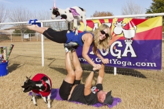 Holiday AZ Goat Yoga Kristen Carter Photography 23-23