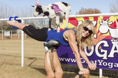 Holiday AZ Goat Yoga Kristen Carter Photography 24-24