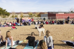 Holiday AZ Goat Yoga Kristen Carter Photography 26-26