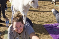 Holiday AZ Goat Yoga Kristen Carter Photography 29-29