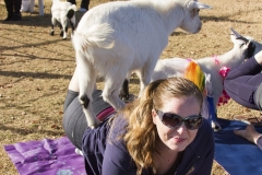Holiday AZ Goat Yoga Kristen Carter Photography 30-30