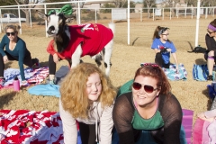 Holiday AZ Goat Yoga Kristen Carter Photography 32-32