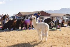 Holiday AZ Goat Yoga Kristen Carter Photography 37-37