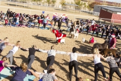 Holiday AZ Goat Yoga Kristen Carter Photography 40-40