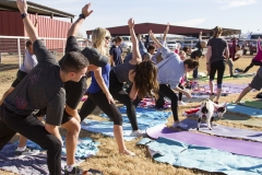 Holiday AZ Goat Yoga Kristen Carter Photography 41-41