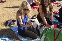 Holiday AZ Goat Yoga Kristen Carter Photography 47-47
