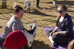 Holiday AZ Goat Yoga Kristen Carter Photography 48-48