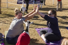 Holiday AZ Goat Yoga Kristen Carter Photography 49-49