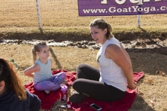 Holiday AZ Goat Yoga Kristen Carter Photography 50-50