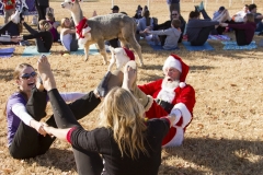 Holiday AZ Goat Yoga Kristen Carter Photography 53-53