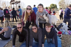 Holiday AZ Goat Yoga Kristen Carter Photography 69-69