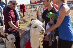 Holiday AZ Goat Yoga Kristen Carter Photography 79-79