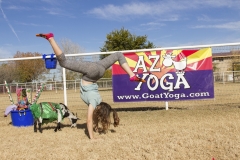 Holiday AZ Goat Yoga Kristen Carter Photography 89-89