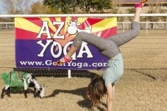 Holiday AZ Goat Yoga Kristen Carter Photography 90-90