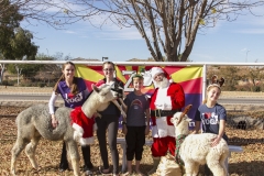 Holiday AZ Goat Yoga Kristen Carter Photography 93-93