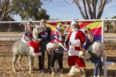 Holiday AZ Goat Yoga Kristen Carter Photography 94-94
