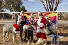 Holiday AZ Goat Yoga Kristen Carter Photography 95-95
