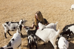 Holiday AZ Goat Yoga Kristen Carter Photography 98-98
