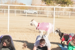 IMG_4732