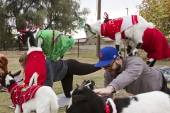 Goat Yoga December Kristen Carter Photography 05-28
