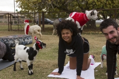 Goat Yoga December Kristen Carter Photography 12-35