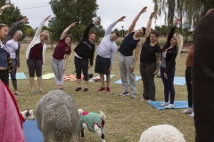 Goat Yoga December Kristen Carter Photography 18-41