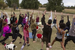 Goat Yoga December Kristen Carter Photography 20-43