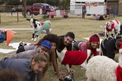Goat Yoga December Kristen Carter Photography 26-49