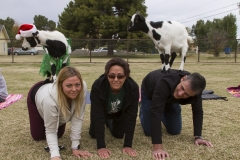 Goat Yoga December Kristen Carter Photography 27-50