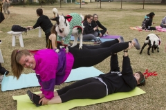 Goat Yoga December Kristen Carter Photography 35-58