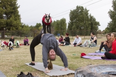 Goat Yoga December Kristen Carter Photography 41-64