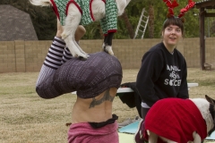 Goat Yoga December Kristen Carter Photography 45-68